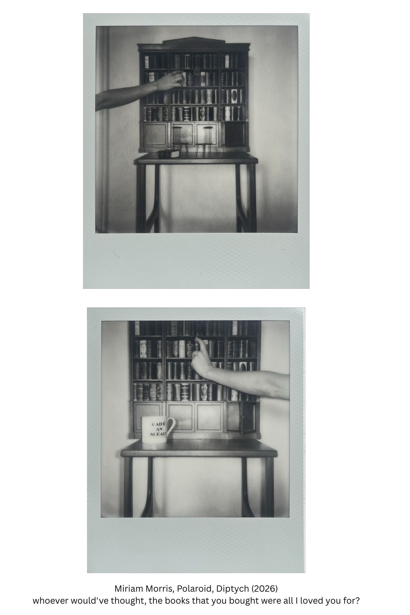 whoever would've thought, the books that you bought were all I loved you for?, by Miriam Morris. Black-and-white Polaroid diptych: a hand reaches into a miniature bookcase of tiny classics with two miniature chairs below; in the second, the same bookcase with a mug reading ‘Cad é an scéal?’.