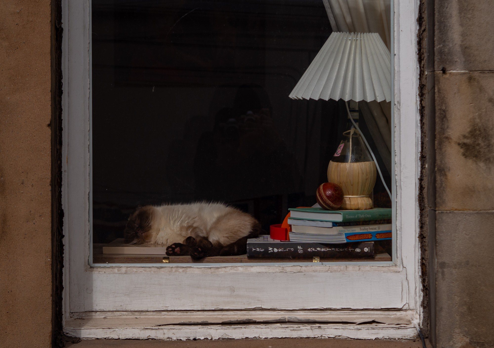 Photograph by Leo Green. Seen from the street through a ground-floor window in a sandstone wall, a Siamese-type cat sleeps on the sill beside a stack of books topped by a cricket ball, a wicker-wrapped bottle lamp and a pleated shade.